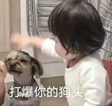打爆你的狗义