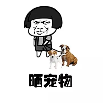 晒宠物