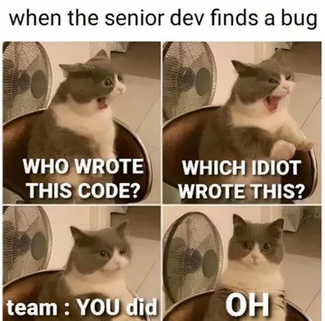 That Moment When The Bug Is Yours