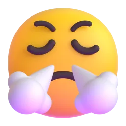 Face with steam from nose