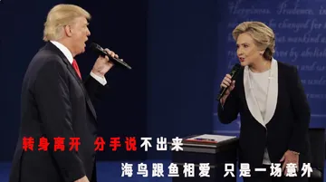转身离开，分手说不出来，海鸟跟鱼相爱，只是一场意外