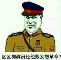区区狗群员还他娘妄想革命?