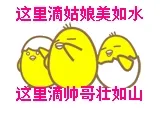 小鸡跳舞：这里滴姑娘美如水，这里滴帅哥壮如山