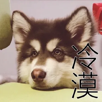 哈士奇与蘑菇头和熊猫人