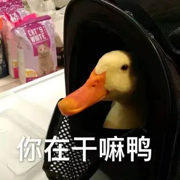 开心鸭00012-你在干嘛鸭