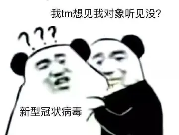 我tm想见我对象听见没？？新型冠状病毒