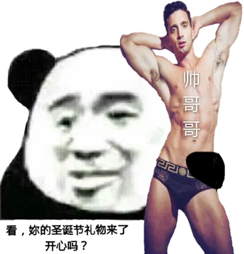 看.你的圣诞节礼物来了.开心吗?