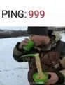 程序员00012-Ping999