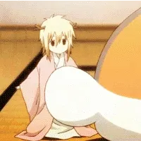 大尾巴(猫老师)