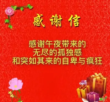 感谢信感谢午夜带来的无尽的孤独感和突如其来的自卑与疯狂