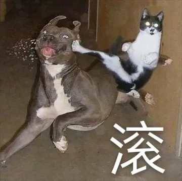 滚鸭
