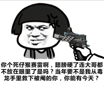你个死仔猴赛雷啊，翅膀硬了连大哥都不放在眼里了是吗？当年要不是我从毒龙手里救下被阉的你，你能有今天？