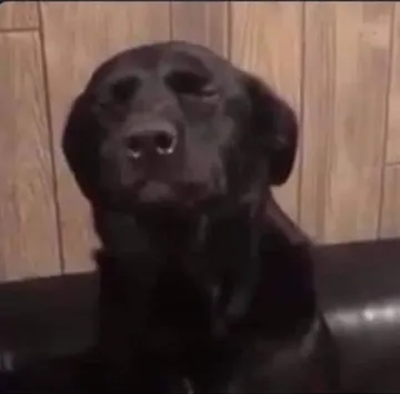 Hola Dios