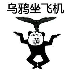 乌鸦坐飞机(功夫系列)