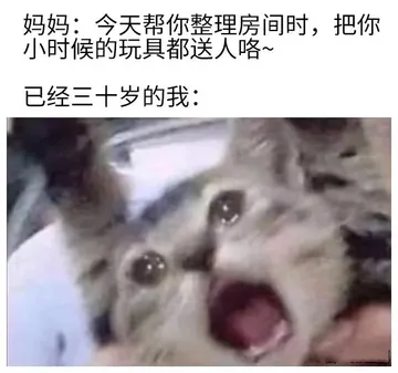 妈妈：今天帮你整理房间时，把你小时候的玩具都送人咯~已经三十岁的我：