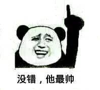 没错，他最帅！（熊猫人）