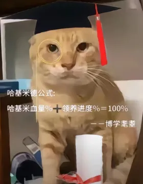 博学耄耋