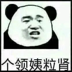个领姨粒肾(熊猫人张学友)