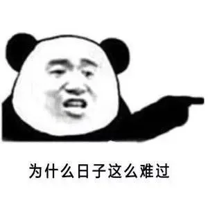 b数自在人心。