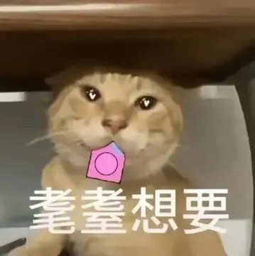 耄耋想要