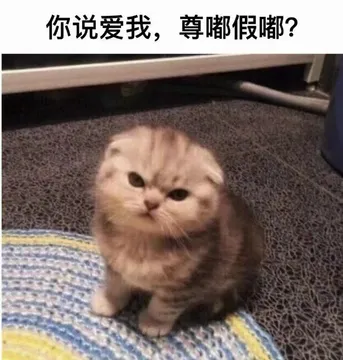 你说爱我，尊嘟假嘟？