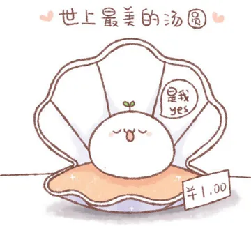 世界伤最美的汤圆，是我！！！