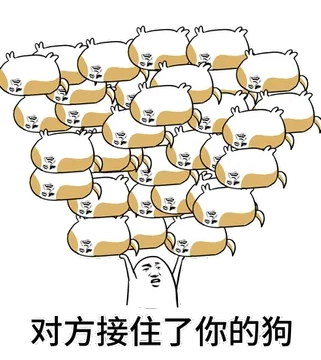 对方接住了你的一群狗