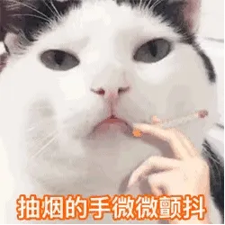 抽烟的额手微微颤抖（猫咪抽烟 GIF 动图）