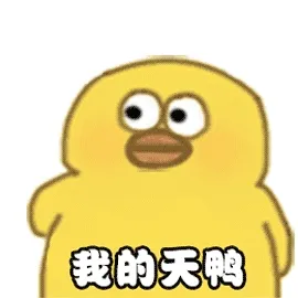 我的天鸭