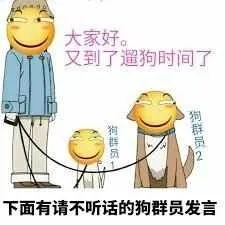 大家好。又到了遛狗时间了，狗群员狗群员，下面有请不听话的狗群员发言