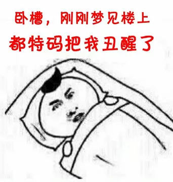 睡觉：卧糟，刚刚梦见楼上，都特码把我丑醒了