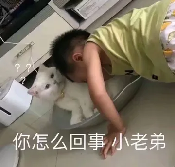 猫咪：你怎么回事？小老弟