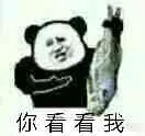 程序员专属表情包