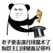 老子要表演月球魔术了.狗群主口球储备足够吗