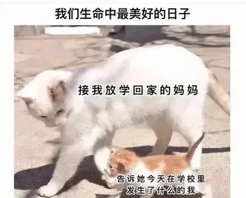 我们生命中最美好的日子接我放学回家的妈妈告诉她今天在学校里发生了什么的我