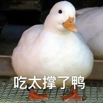 吃太撑了鸭