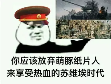 你应该放弃萌豚纸片人.来享受热血的苏维埃时代