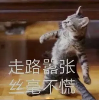 走路器张言不慌