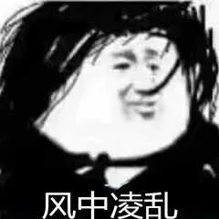 风中凌乱