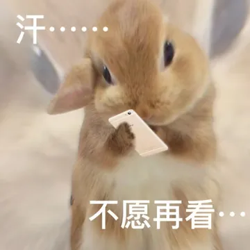 汗……不愿再看