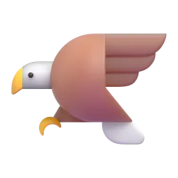 鹰