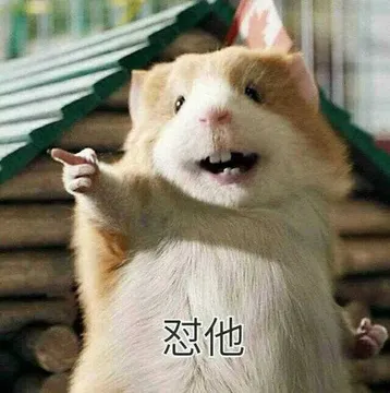 怼他(小老鼠)