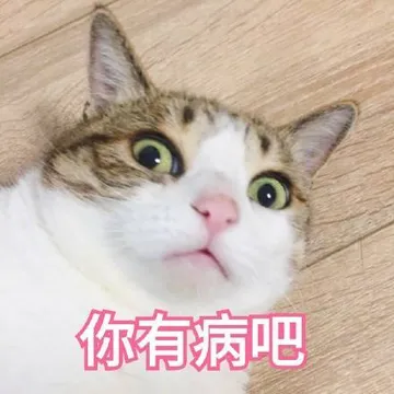你有病吧