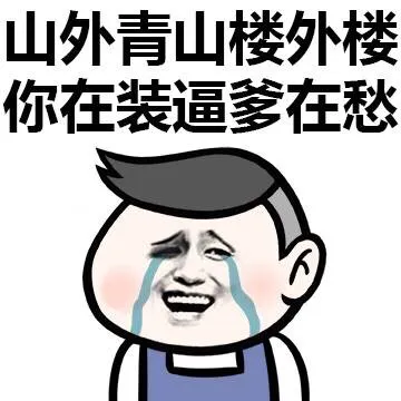 山外青山楼外楼 你在装逼爹在愁