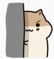 松鼠躲在墙后面
