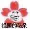 祖国的花朵