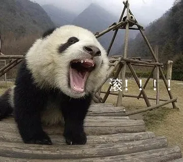 滚啊(熊猫)