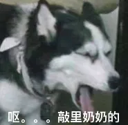 呕...敲里奶奶的