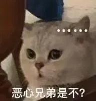 恶心兄弟是不？