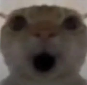 和平地铁猫猫鼠鼠表情包